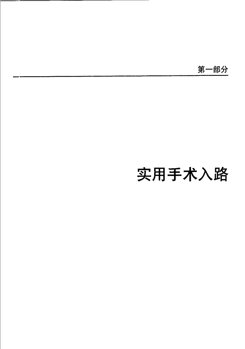 骨科标准手术技术丛书 — 腕.pdf 第4页