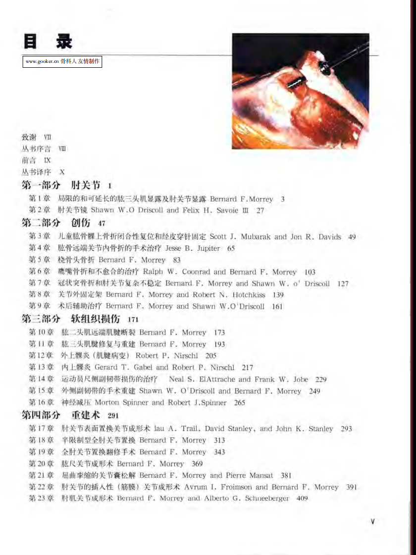 骨科标准手术技术丛书 — 肘.pdf 第1页