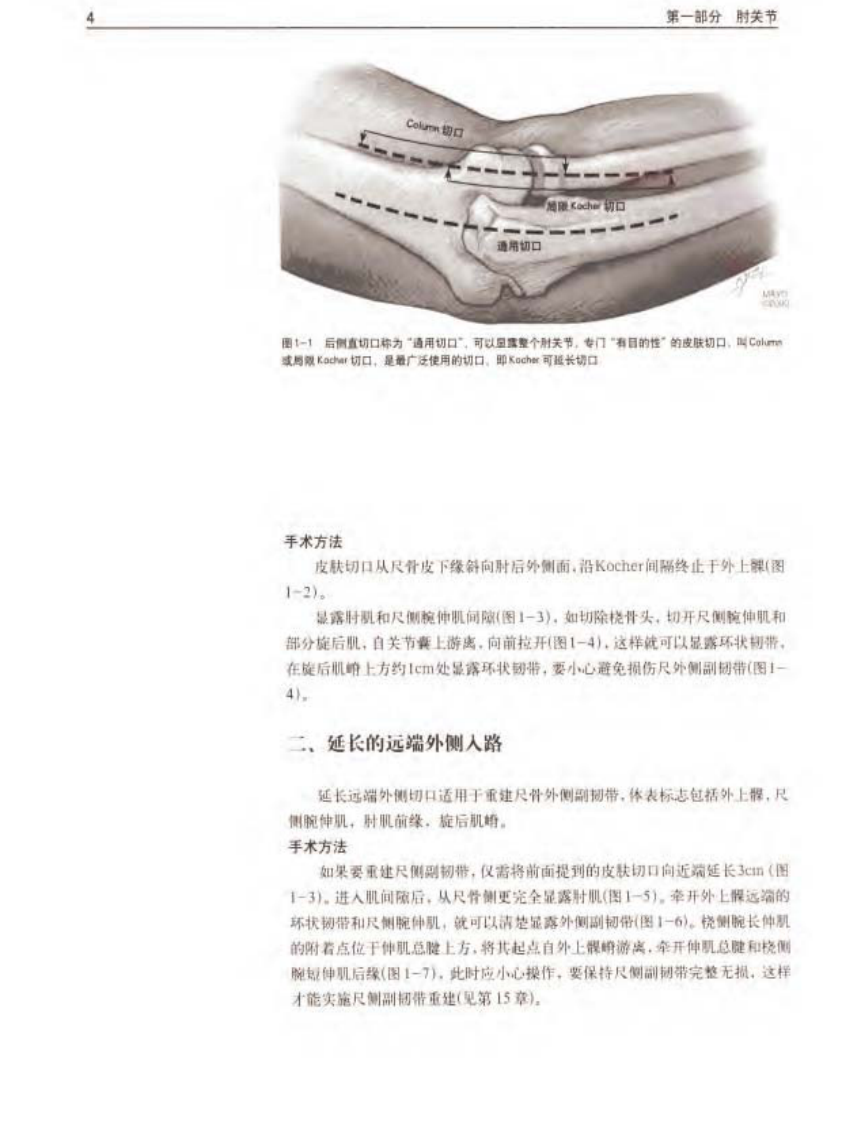 骨科标准手术技术丛书 — 肘.pdf 第3页