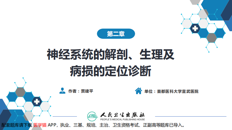 第二章 神经系统的解剖、生理及病损的定位诊断（1）.pdf 第2页