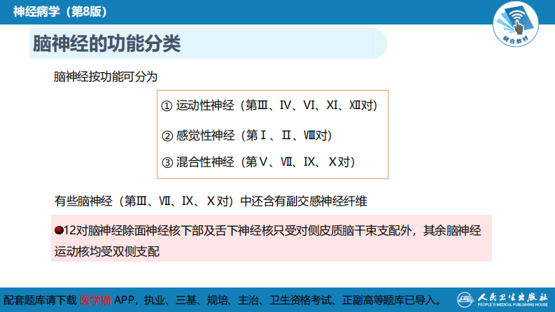 第二章 神经系统的解剖、生理及病损的定位诊断（3）.pdf 第4页