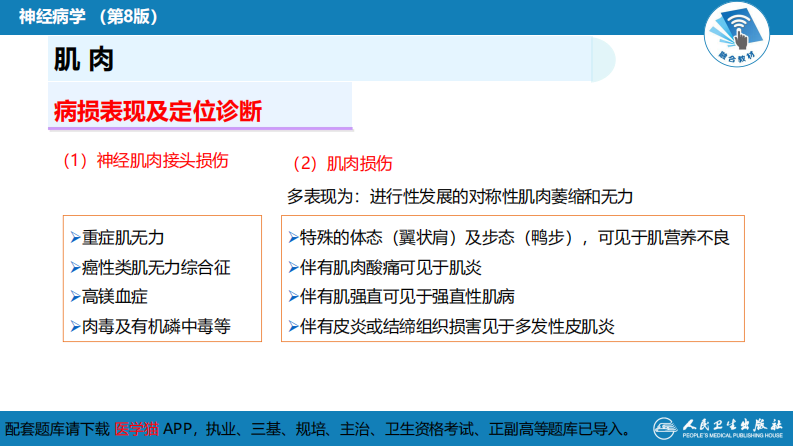 第二章 神经系统的解剖、生理及病损的定位诊断（4）.pdf 第5页