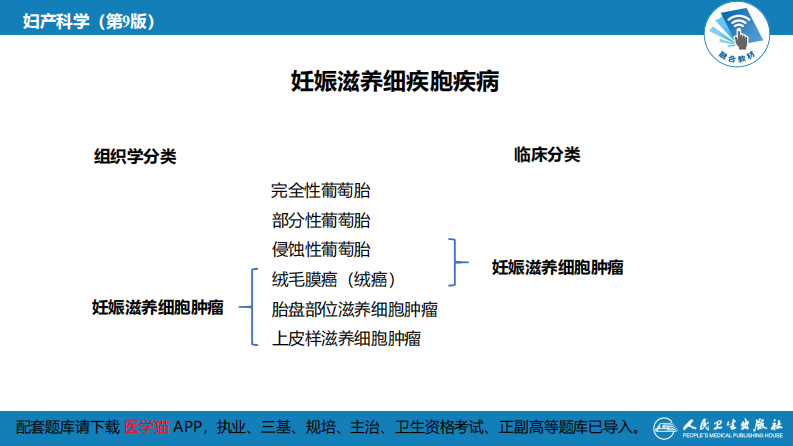 第二十八章 妊娠滋养细胞疾病.pdf 第5页