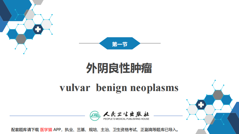 第二十四章 外阴肿瘤..pdf 第5页