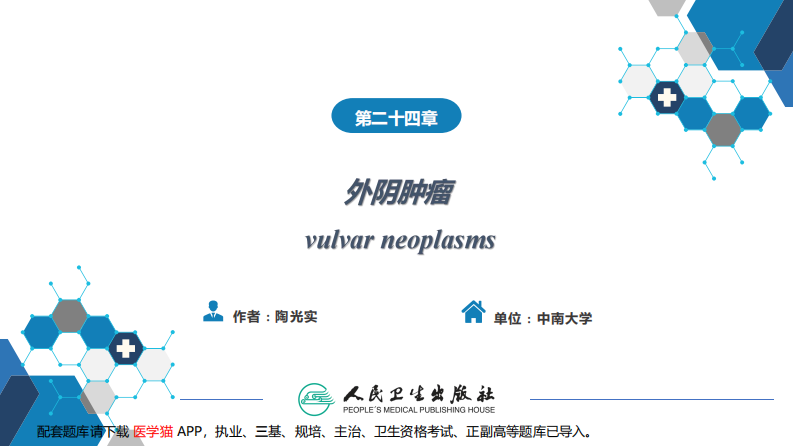 第二十四章 外阴肿瘤..pdf 第2页