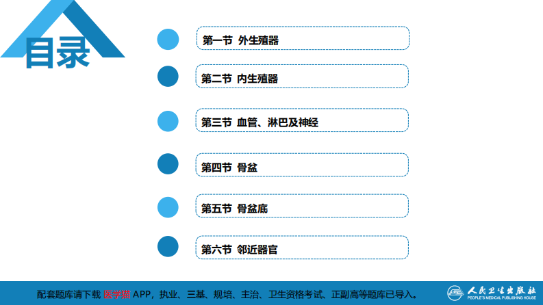 第二章女性生殖系统解剖.pdf 第3页