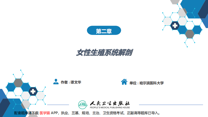 第二章女性生殖系统解剖.pdf 第2页