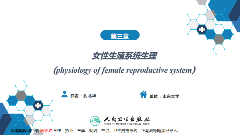 第三章  女性生殖系统生理..pdf 第2页