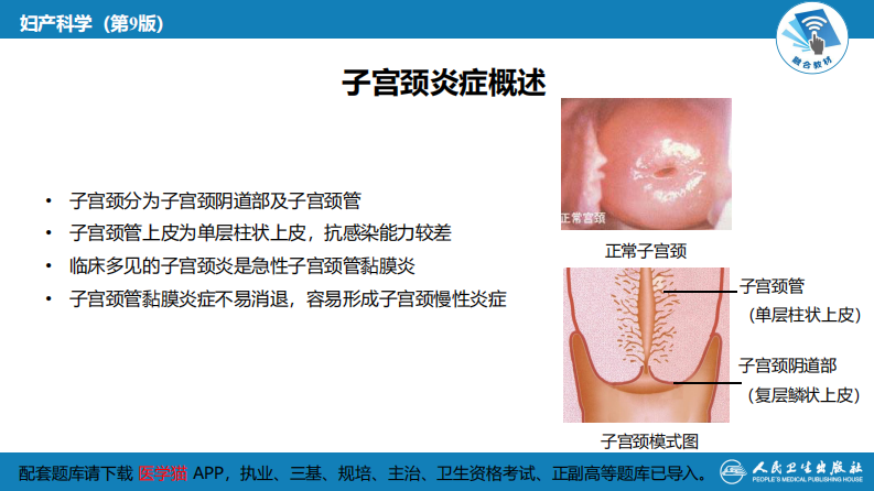 第十九章 子宫颈炎症..pdf 第5页