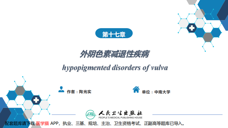 第十七章外阴色素减退性疾病..pdf 第2页