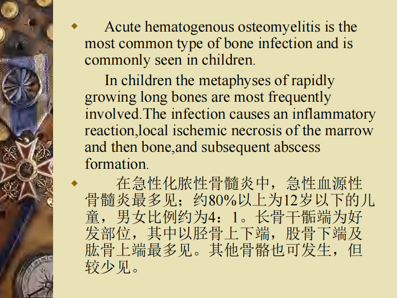 骨科-骨与关节感染.pdf 第4页