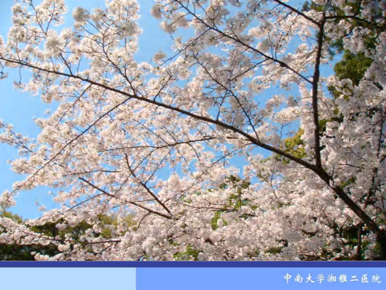 骨科-骨折概论（修改）.pdf 第5页