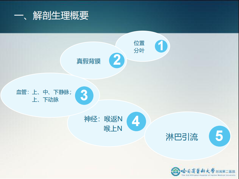 骨科-颈部疾病 .pdf 第5页