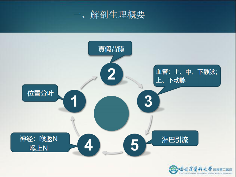 骨科-颈部疾病.pdf 第5页