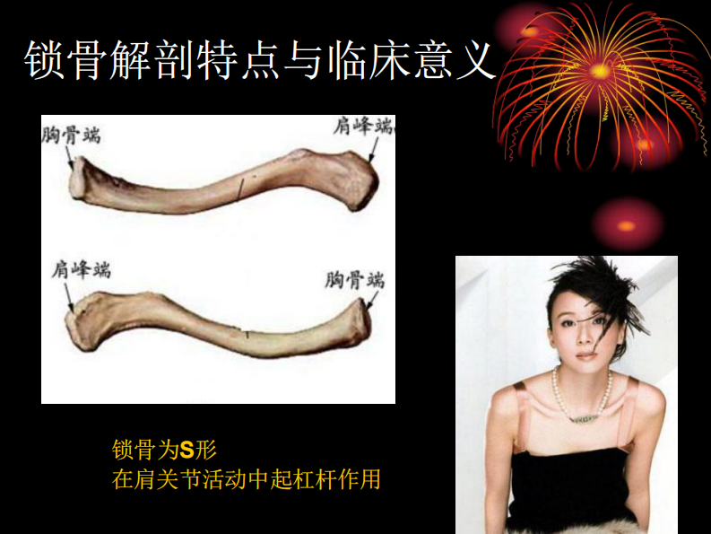 骨科-上肢骨、关节损伤(五年制幻).pdf 第5页