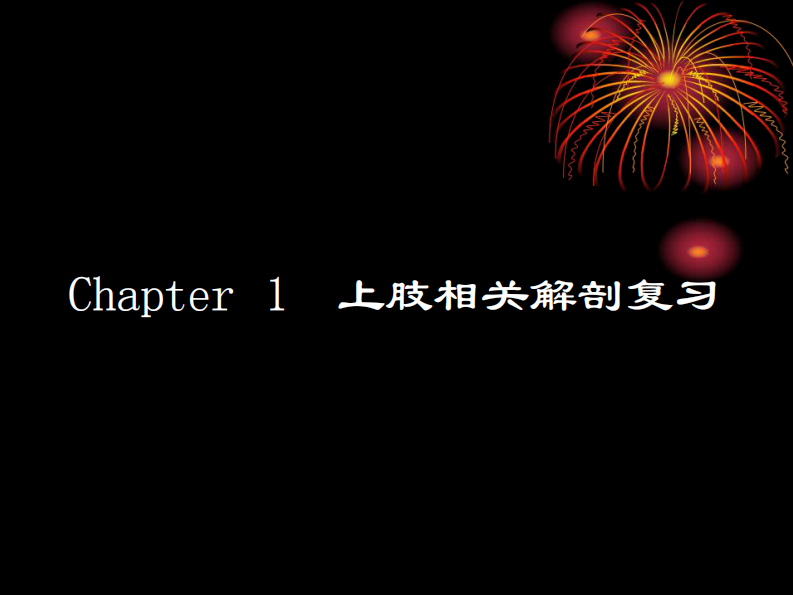 骨科-上肢骨、关节损伤(五年制幻).pdf 第3页