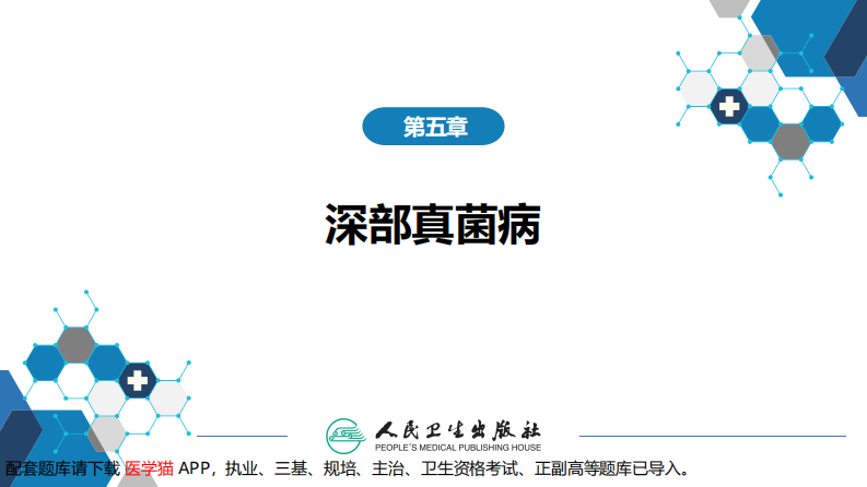 第五章 深部真菌病 第二节 念珠菌病.pdf 第2页