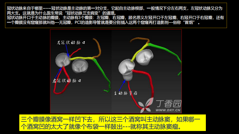 多层螺旋CT冠状动脉疾病诊断再学习之一.pdf 第5页