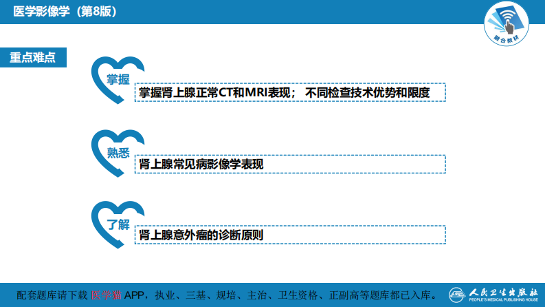 第八章 泌尿生殖系统与腹膜后间隙 第二节 肾上腺.pdf 第5页