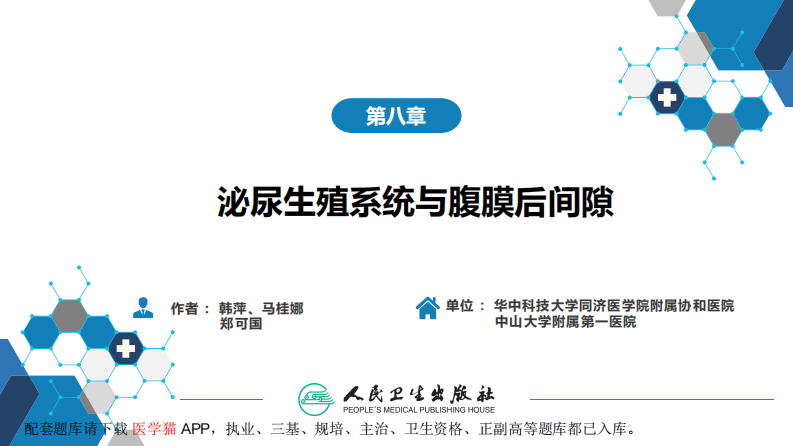 第八章 泌尿生殖系统与腹膜后间隙 第一节 泌尿系统.pdf 第2页