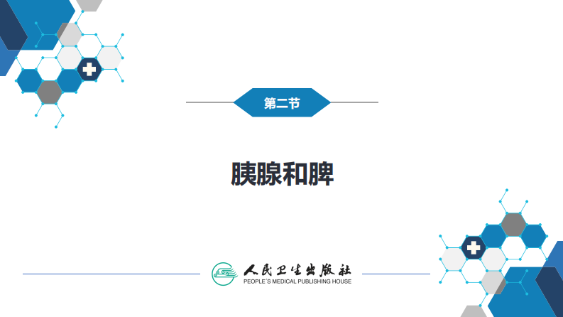 第七章 消化系统与腹膜腔 第二节 胰腺、脾.pdf 第3页