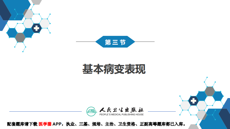 第四章 呼吸系统 第三节 基本病变表现.pdf 第3页