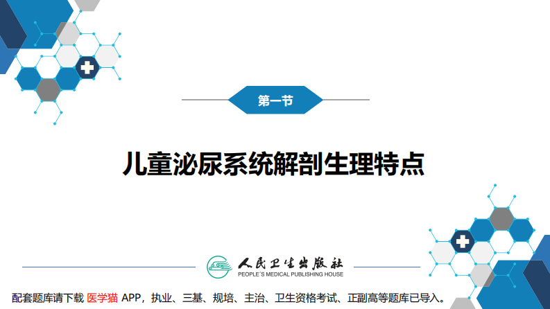第十二章 泌尿系统疾病 第一节-第六节.pdf 第5页
