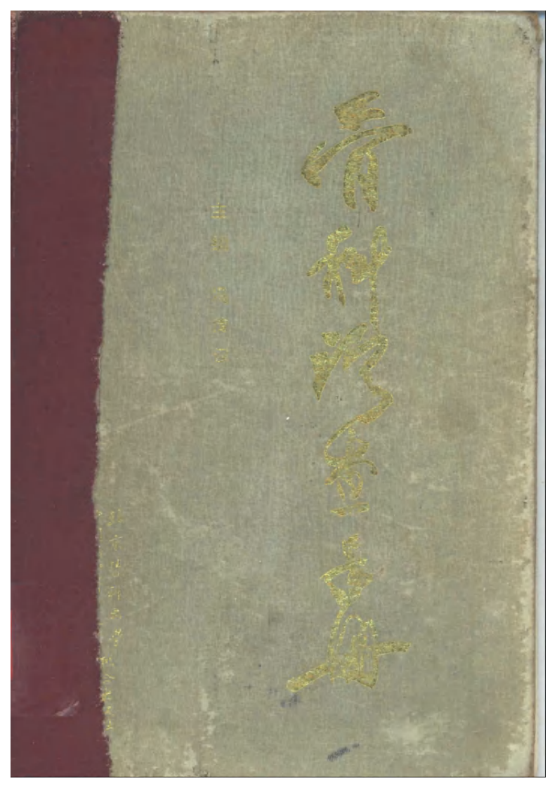 骨科诊查手册.pdf 第1页