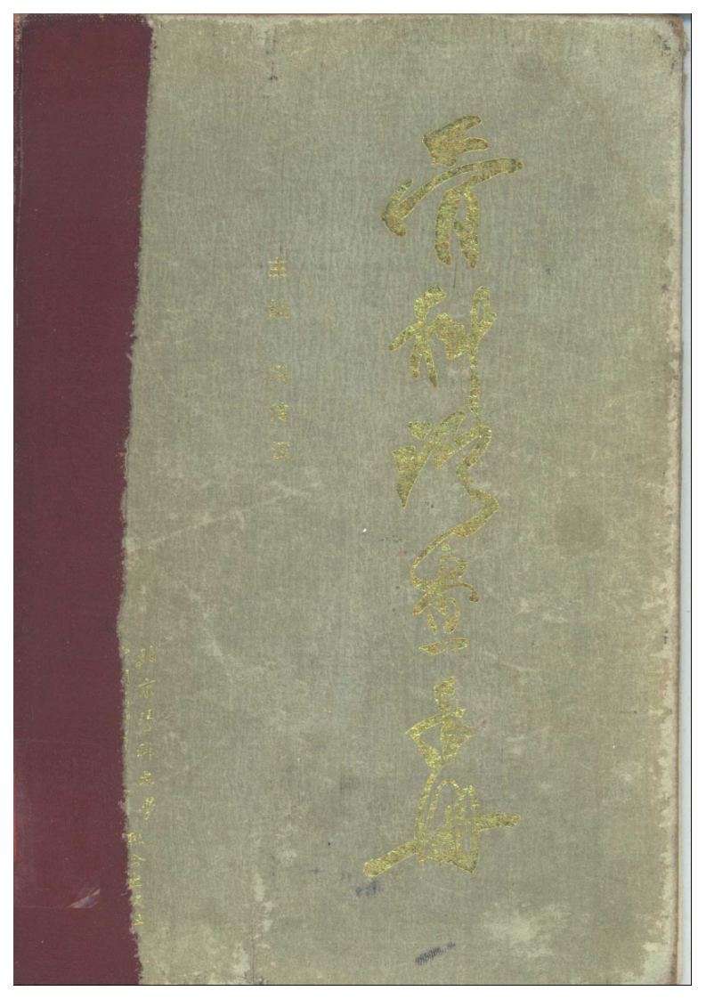 骨科诊查手册.pdf 第1页