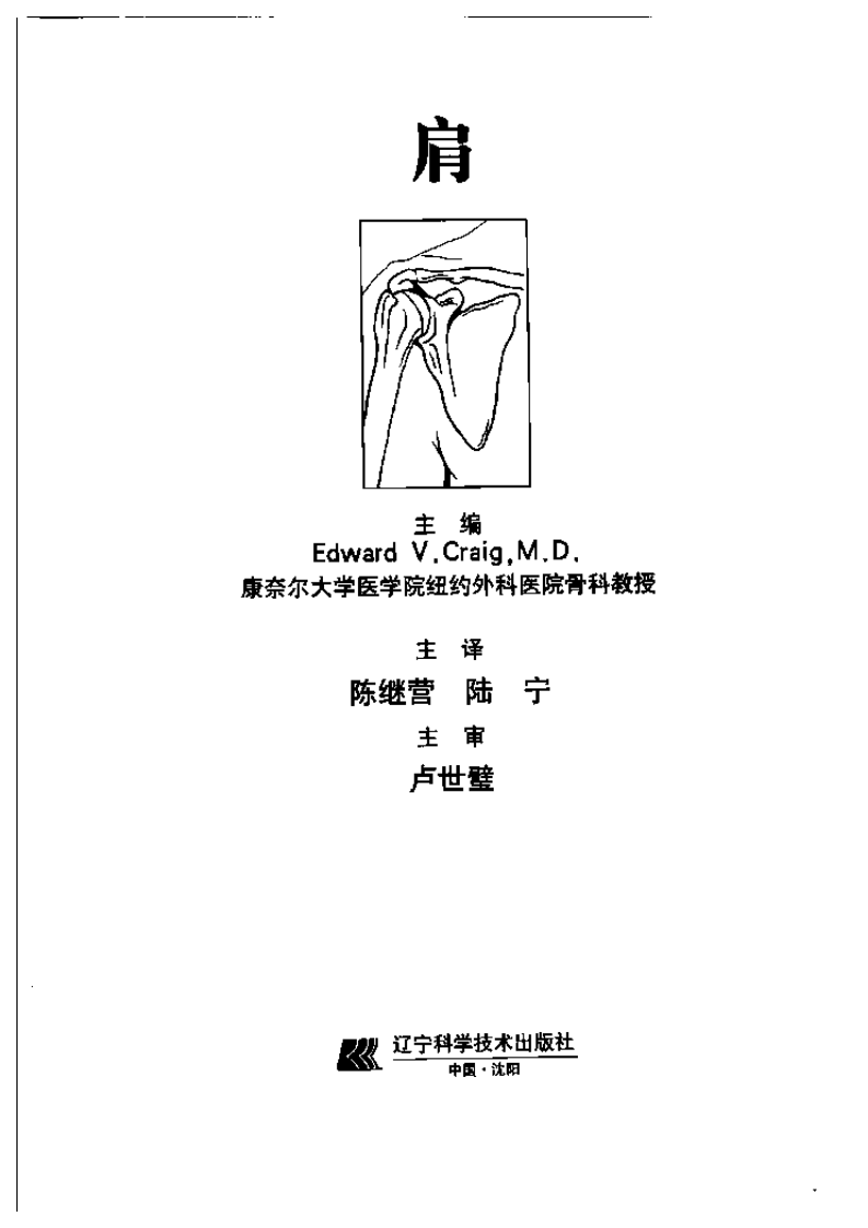 骨科标准手术技术丛书—肩.pdf 第3页