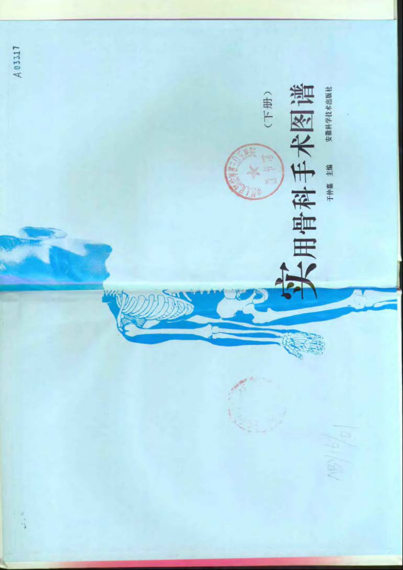 实用骨科手术图谱.pdf 第2页