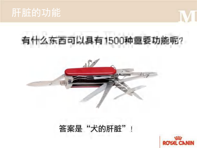 宠物-肝炎的营养方案.pdf 第3页