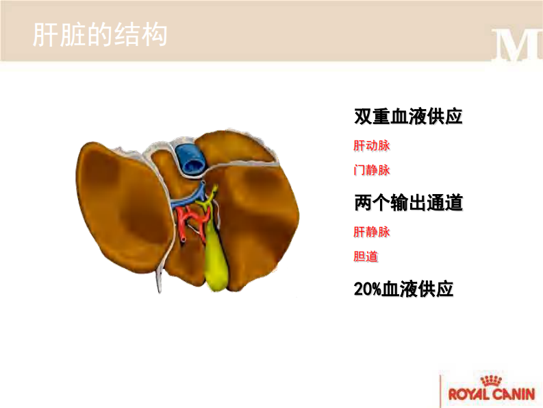 宠物-肝炎的营养方案.pdf 第5页