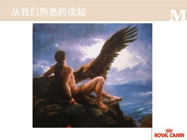 宠物-肝炎的营养方案.pdf 第2页