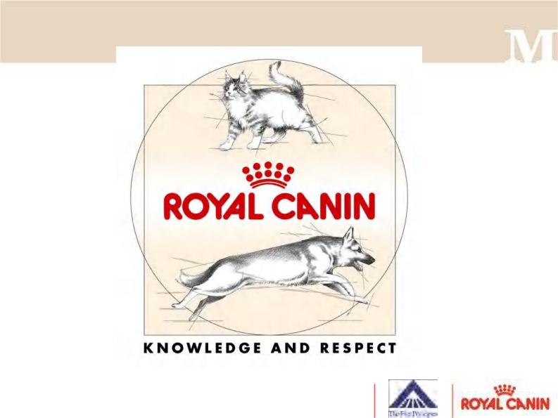 宠物-慢性肾脏病的治疗.pdf 第2页