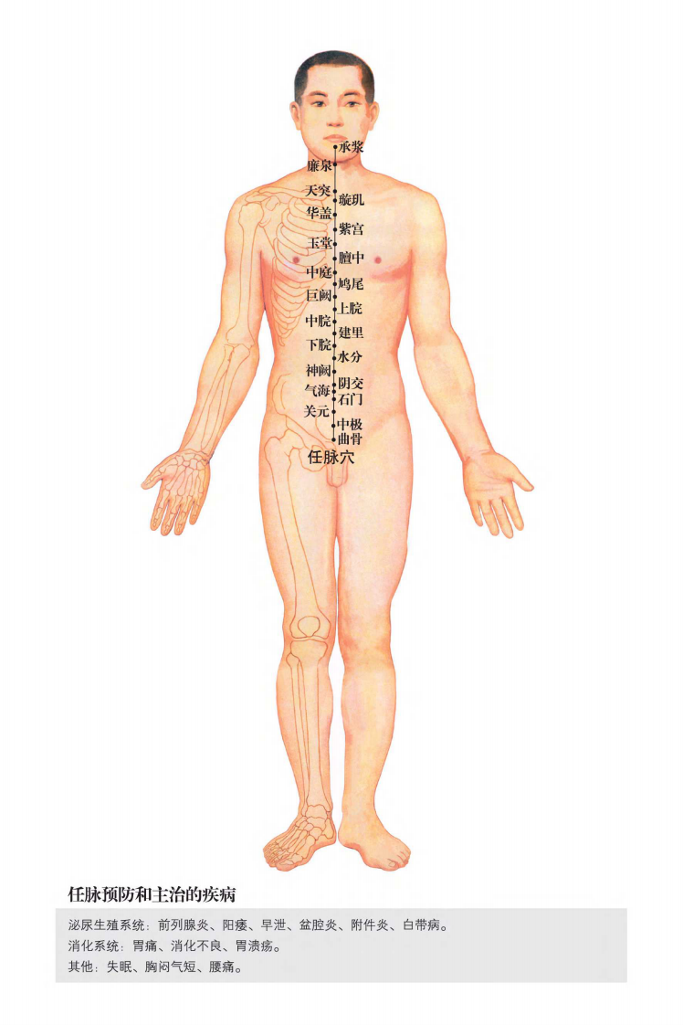 超高清人体穴位经络大图.PDF 第5页