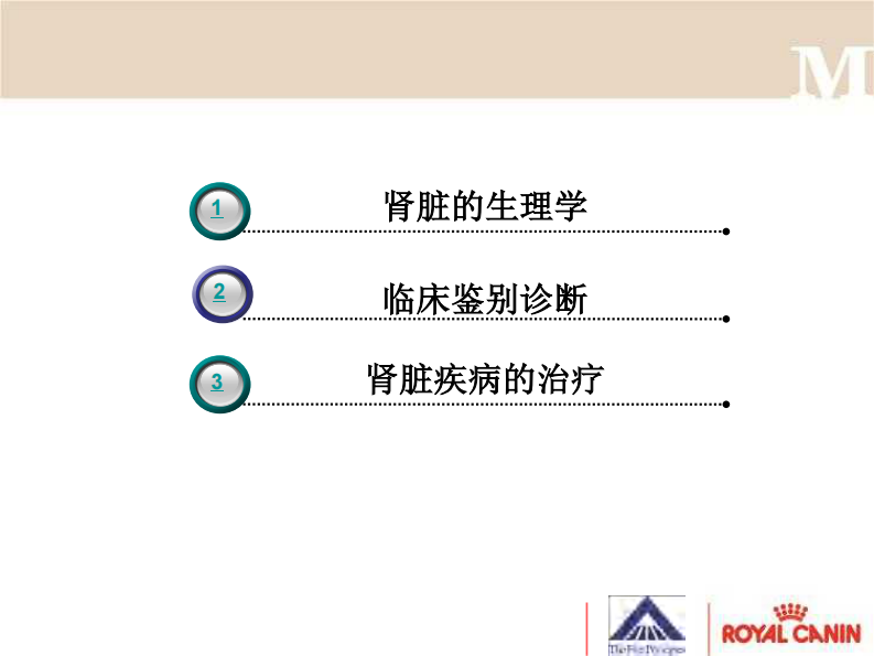 宠物-慢性肾脏病诊断.pdf 第3页