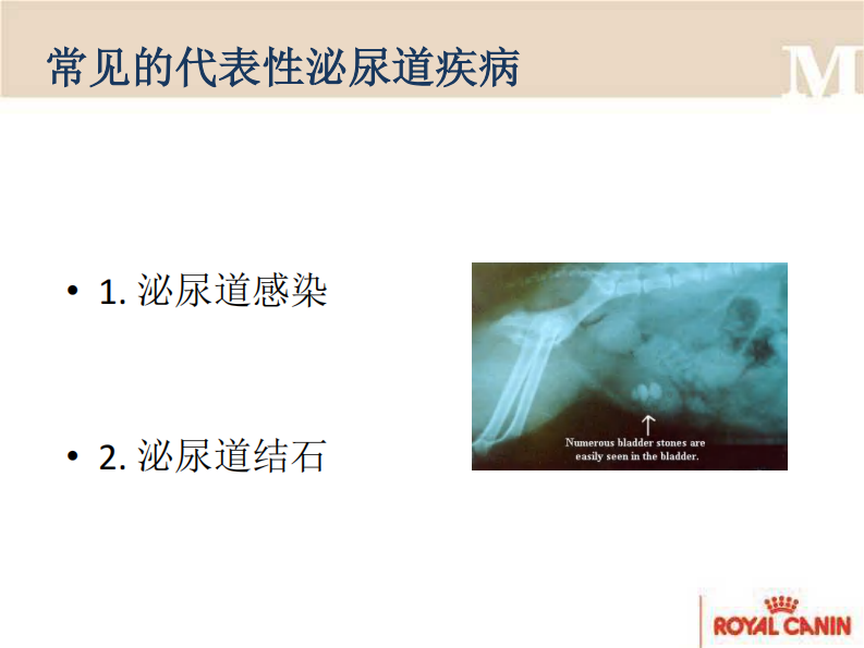 宠物-尿石症的营养方案.pdf 第4页