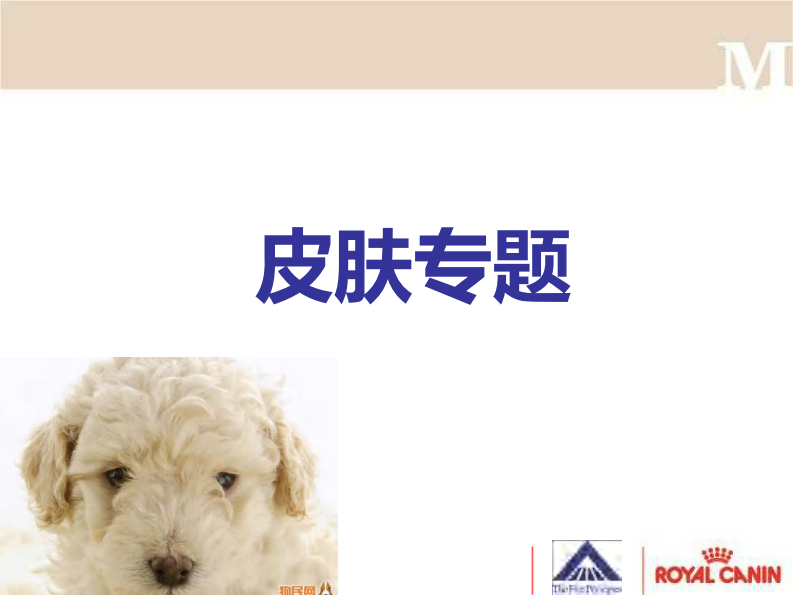 宠物-皮肤病专题.pdf 第4页