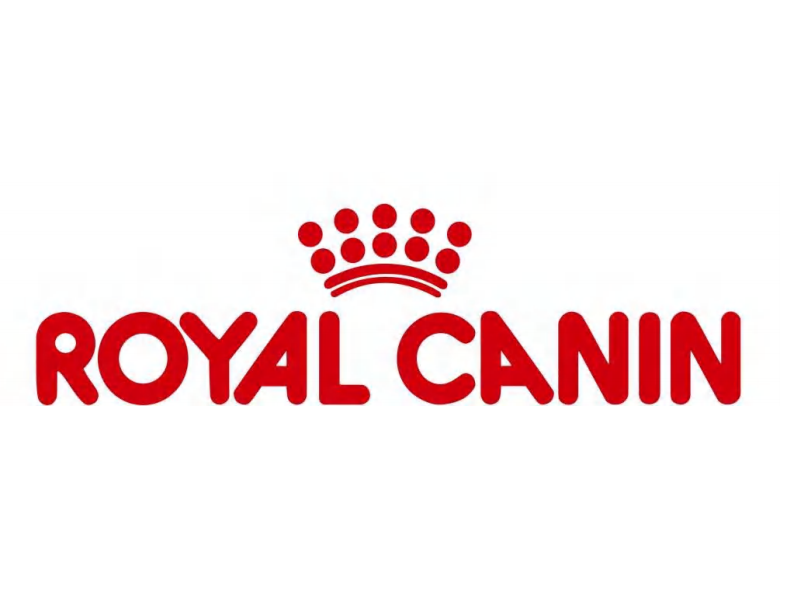 宠物-犬关节炎.pdf 第1页