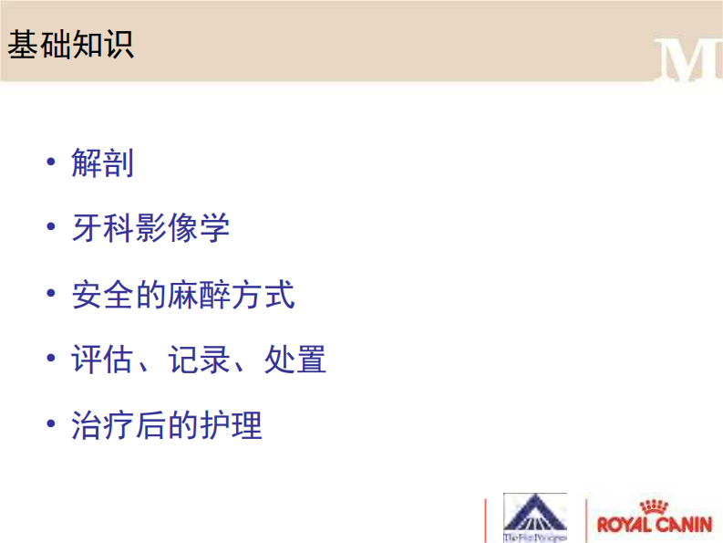 宠物-牙科洁治.pdf 第3页