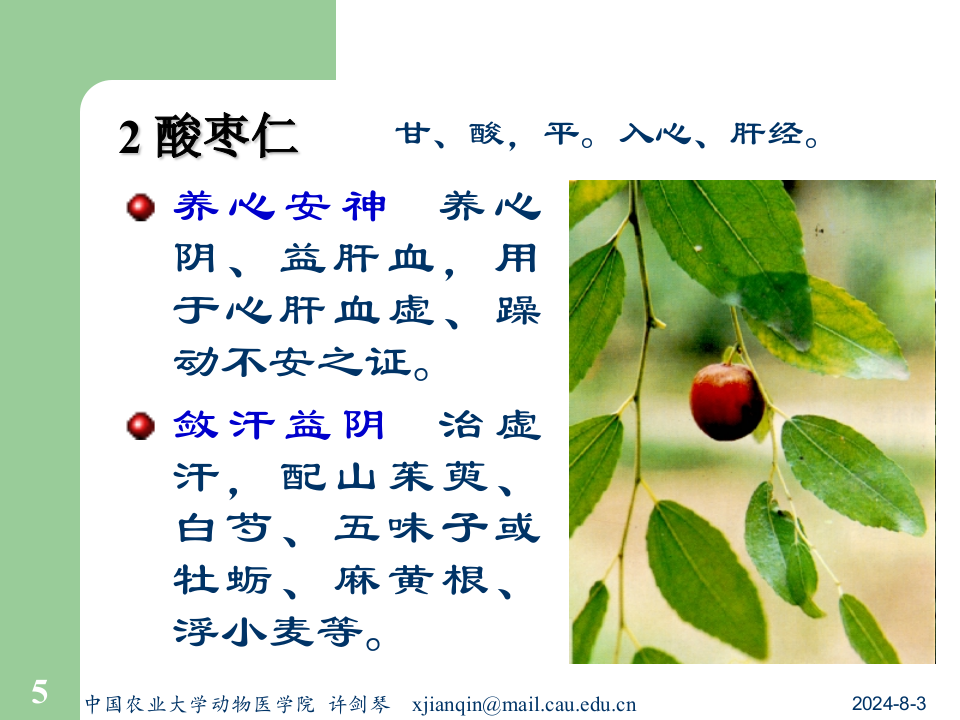 14安神开窍药及方.ppt 第5页
