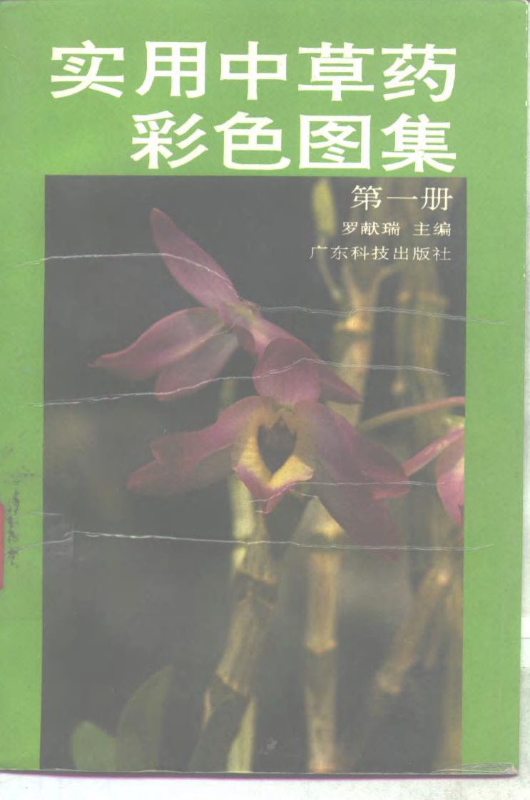 实用中草药彩色图集-罗献瑞.pdf 第1页