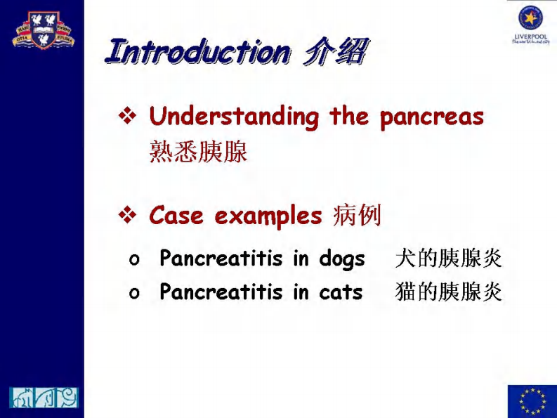宠物-急性胰腺炎的治疗.pdf 第2页