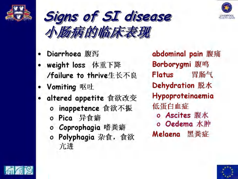 宠物-慢性肠炎的诊断.pdf 第4页