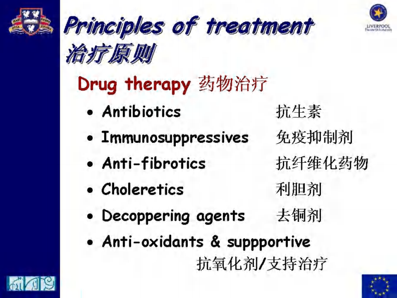 宠物-慢性肝病治疗.pdf 第4页