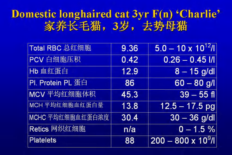咳嗽的鉴别诊断和临床分析-猫.pdf 第4页