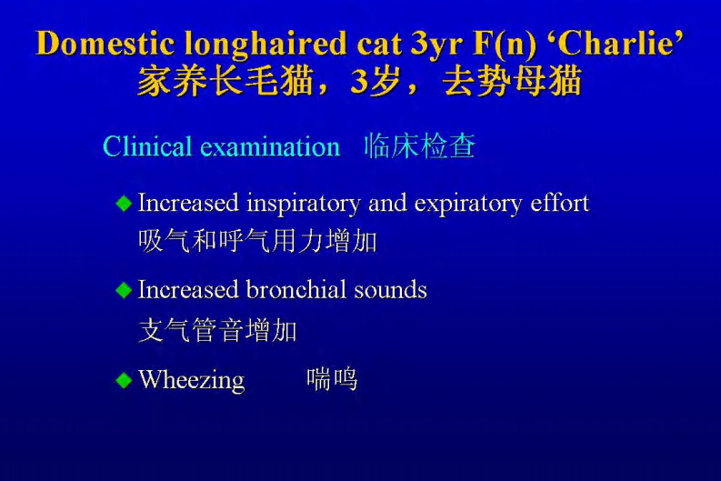 咳嗽的鉴别诊断和临床分析-猫.pdf 第3页