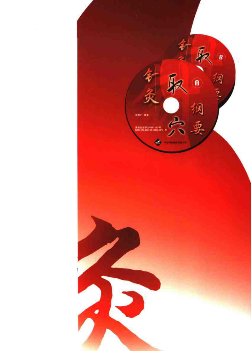 针灸取穴纲要（耿恩广）.pdf 第2页