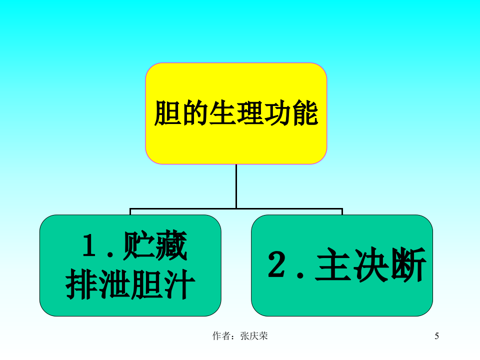 2-2.6_六腑、奇恒之腑.ppt 第5页